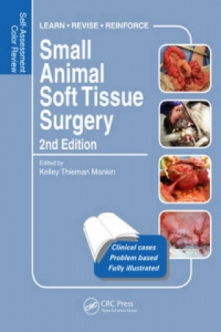 Könyv Small Animal Soft Tissue Surgery Kelley Thieman Mankin