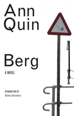 Knjiga Berg Ann Quin