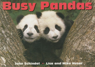 Könyv Busy Pandas John Schindel