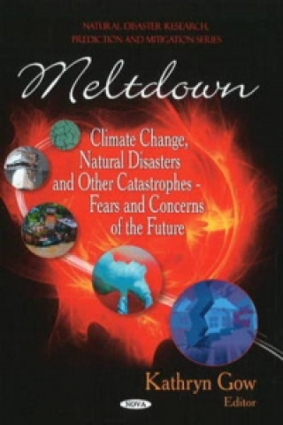 Kniha Meltdown Kathryn Gow