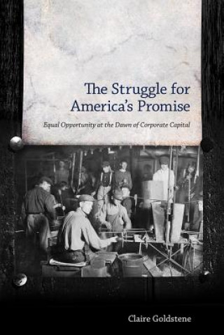 Книга Struggle for America's Promise Claire Goldstene