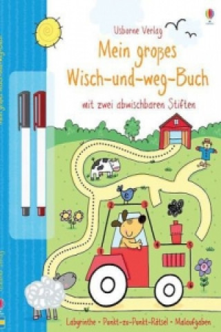 Carte Mein großes Wisch-und-weg-Buch Sam Taplin