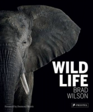 Książka Wild Life Brad Wilson