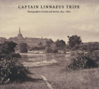 Książka Captain Linnaeus Tripe Roger Taylor