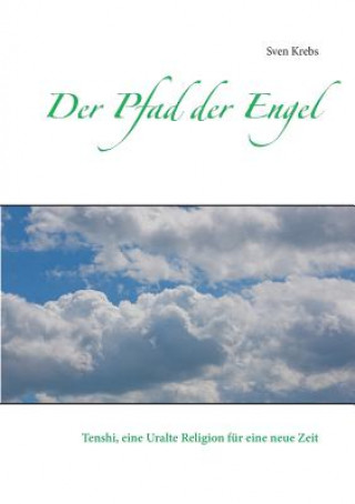 Книга Pfad der Engel Sven Krebs