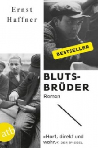 Könyv Blutsbruder Ernst Haffner