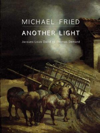 Βιβλίο Another Light Michael Fried