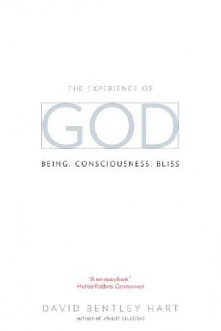 Könyv Experience of God David Bentley Hart