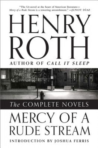 Carte Mercy of a Rude Stream Henry Roth
