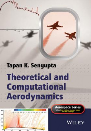 Kniha Theoretical and Computational Aerodynamics Tapan K Sengupta