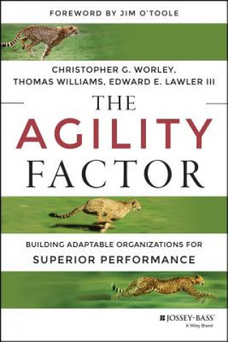 Buch Agility Factor - Building Adaptable Organizations for Superior Performance Christopher G Worley