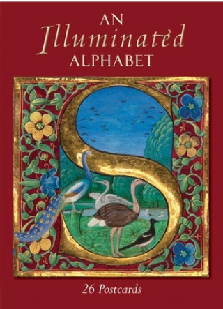 Книга Illuminated Alphabet 