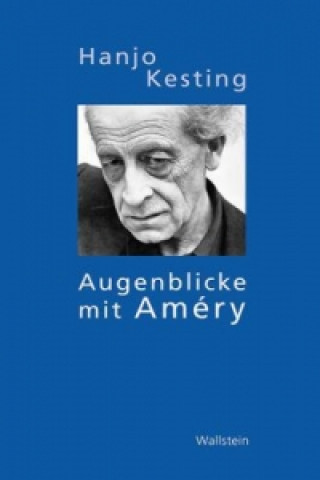 Kniha Augenblicke mit Améry Hanjo Kesting