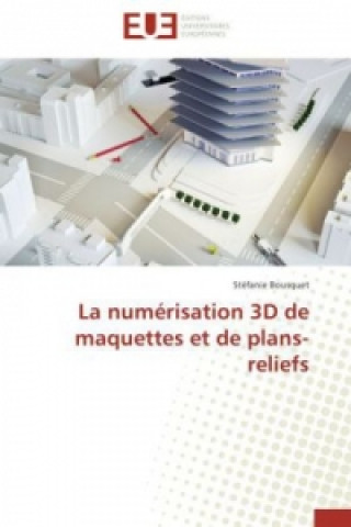 Carte Num risation 3D de Maquettes Et de Plans-Reliefs Stéfanie Bousquet