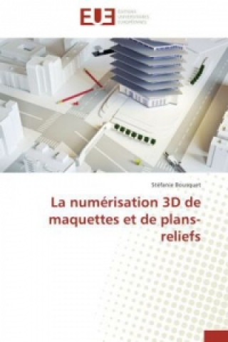 Kniha Num risation 3D de Maquettes Et de Plans-Reliefs Stéfanie Bousquet