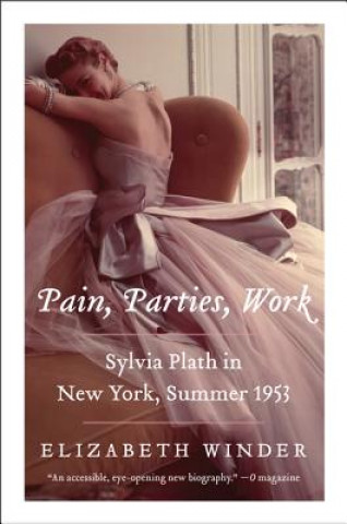 Knjiga Pain, Parties, Work Elizabeth Winder