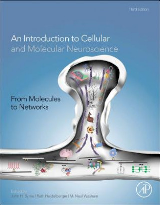 Könyv From Molecules to Networks John Byrne