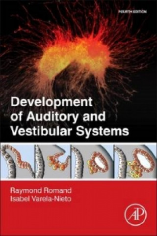 Kniha Development of Auditory and Vestibular Systems Raymond Romand