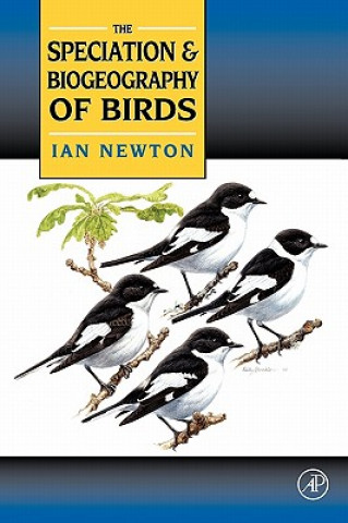 Carte Speciation and Biogeography of Birds Newton