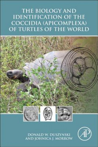 Könyv Biology and Identification of the Coccidia (Apicomplexa) of Turtles of the World Donald W. Duszynski