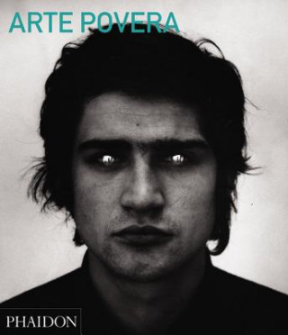 Книга Arte Povera (Abridged Edition) Carolyn Christov-Bakargiev