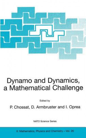 Knjiga Dynamo and Dynamics, a Mathematical Challenge P. Chossat