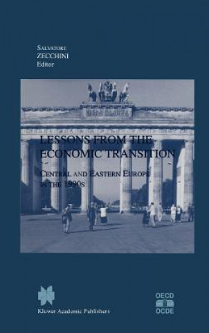 Könyv Lessons from the Economic Transition Salvatore Zecchini