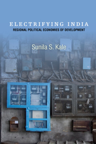 Könyv Electrifying India Sunila Kale