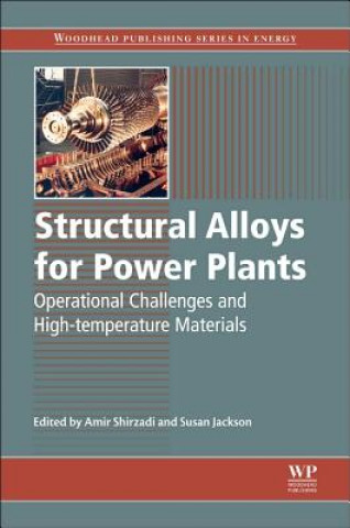 Książka Structural Alloys for Power Plants A Shirzadi