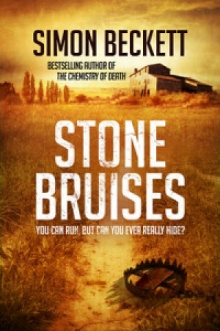 Könyv Stone Bruises Simon Beckett