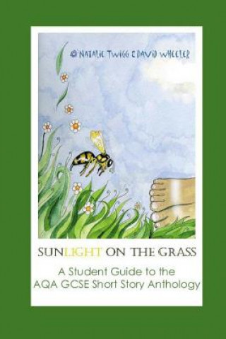Kniha Sunlight on Grass: a Student Guide to the AQA GCSE Short Sto Natalie Twigg