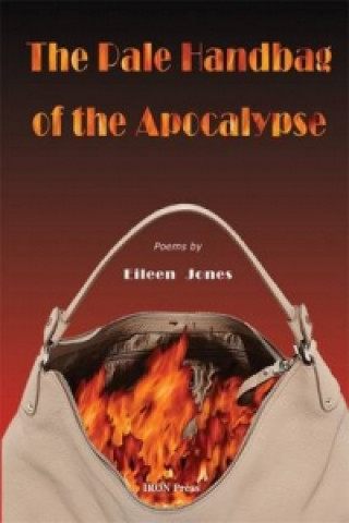 Knjiga Pale Handbag of the Apocalypse Eileen Jones