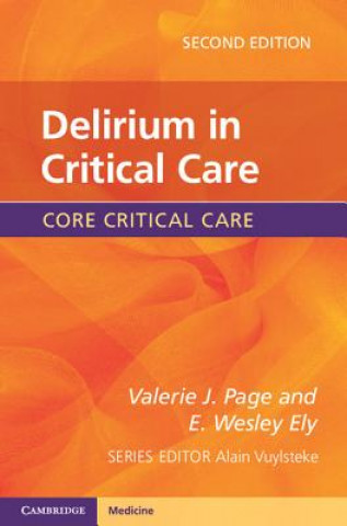 Kniha Delirium in Critical Care Valerie J Page