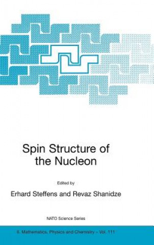 Kniha Spin Structure of the Nucleon Erhard Steffens