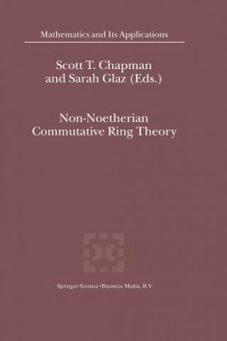 Knjiga Non-Noetherian Commutative Ring Theory S. T. Chapman