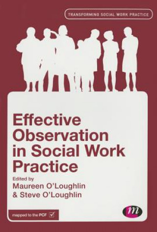 Kniha Effective Observation in Social Work Practice Maureen O´Loughlin