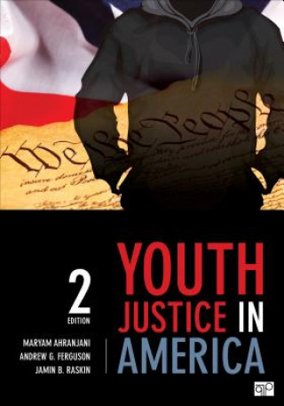 Könyv Youth Justice in America Maryam Ahranjani