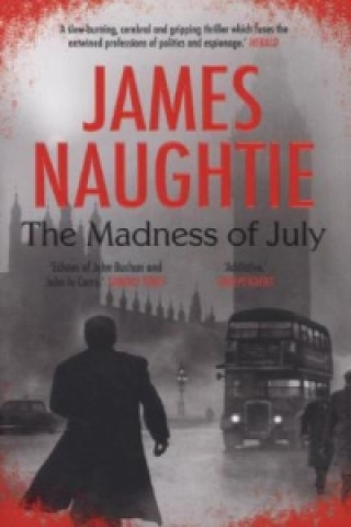Kniha Madness of July James Naughtie