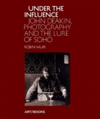 Kniha Under the Influence Robin Muir