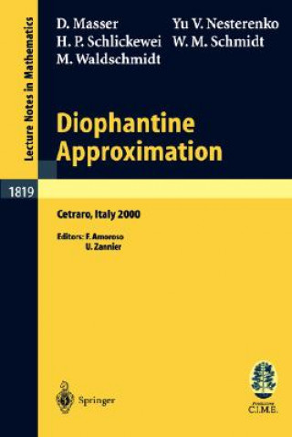Carte Diophantine Approximation David Masser