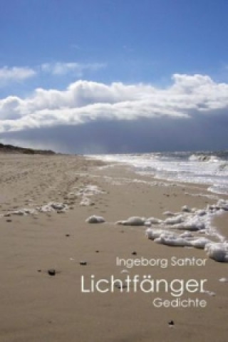 Kniha Lichtfänger Ingeborg Santor