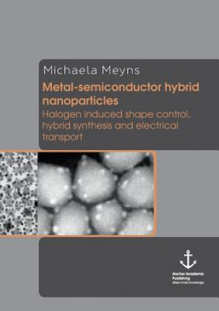 Kniha Metal-Semiconductor Hybrid Nanoparticles Michaela Meyns