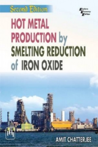 Книга Hot Metal Production by Smelting Reduction of Iron Oxide Amit Chatterjee