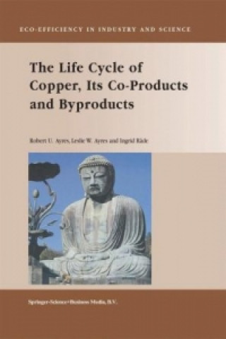 Kniha Life Cycle of Copper, Its Co-Products and Byproducts Robert U. Ayres
