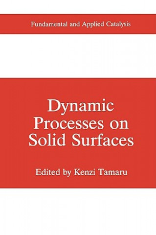 Kniha Dynamic Processes on Solid Surfaces Kenzi Tamaru