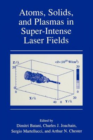 Könyv Atoms, Solids, and Plasmas in Super-Intense Laser Fields Dimitri Batani
