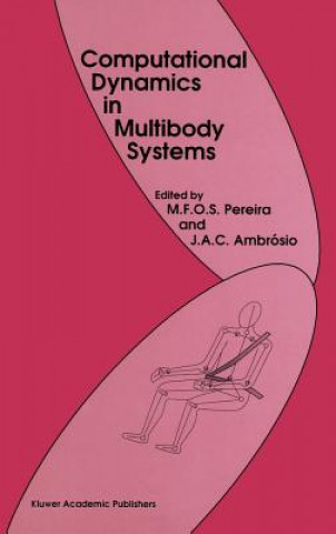 Kniha Computational Dynamics in Multibody Systems Manuel F.O. Seabra Pereira