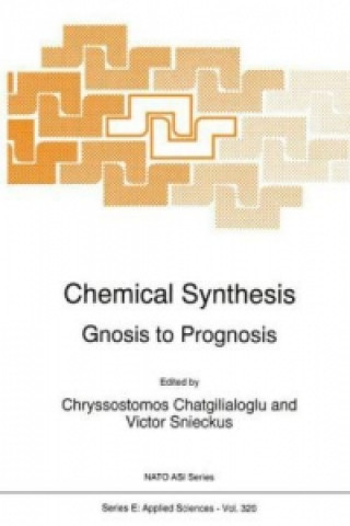 Kniha Chemical Synthesis C. Chatgilialoglu