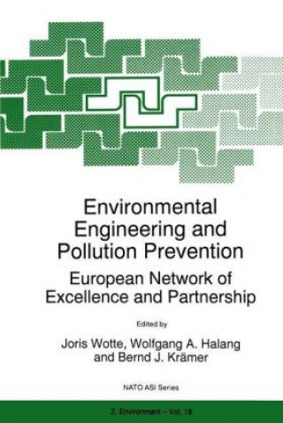 Kniha Environmental Engineering and Pollution Prevention Joris Wotte