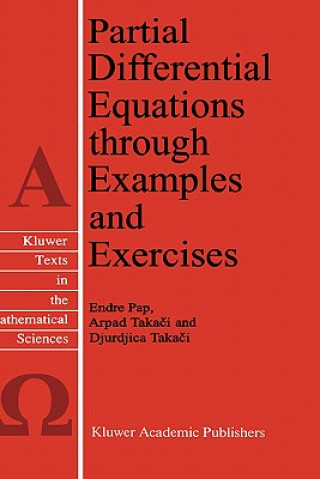 Книга Partial Differential Equations through Examples and Exercises E. Pap